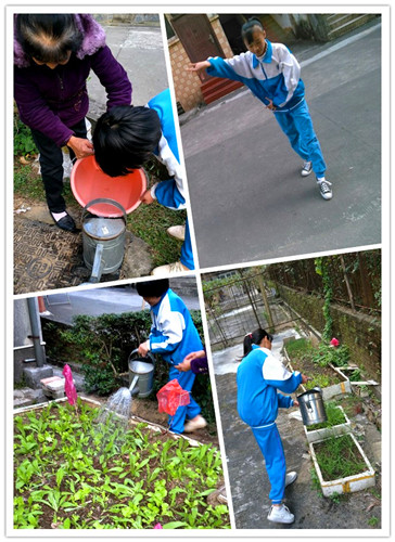 给社区老人做家务、学种菜、表演